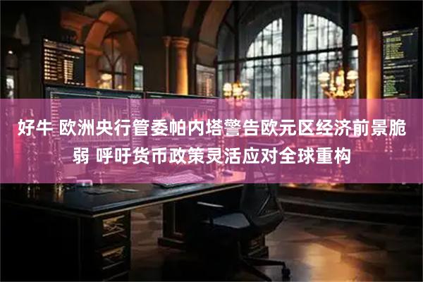 好牛 欧洲央行管委帕内塔警告欧元区经济前景脆弱 呼吁货币政策灵活应对全球重构